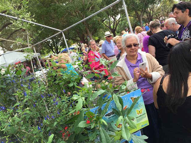 Avow Hospice Hosts Butterfly Release